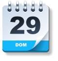DOM 29